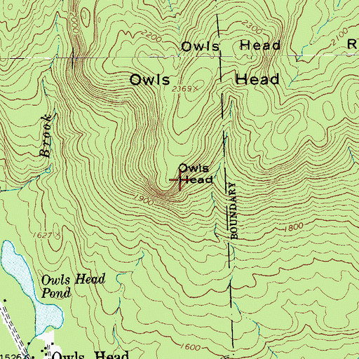 Topographic Map of Owls Head, NY