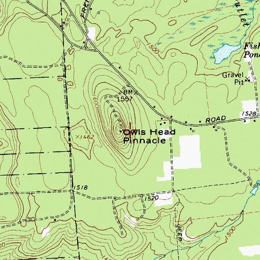 Topographic Map of Owls Head Pinnacle, NY