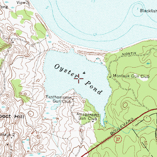 Topographic Map of Oyster Pond, NY