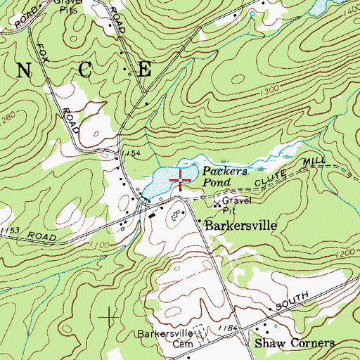 Topographic Map of Packers Pond, NY