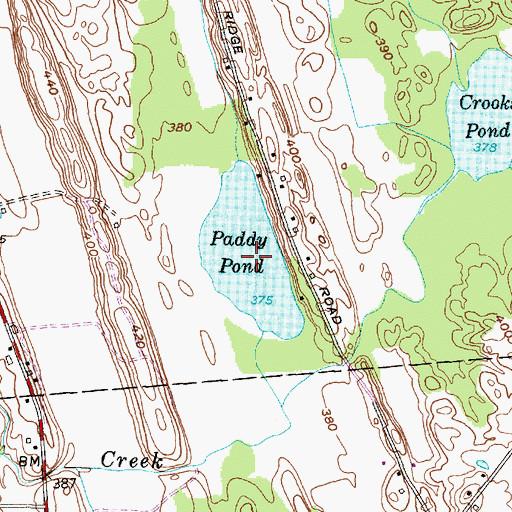 Topographic Map of Paddy Pond, NY