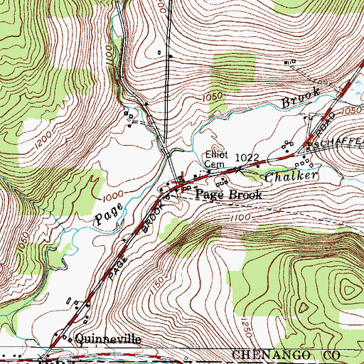 Topographic Map of Page Brook, NY
