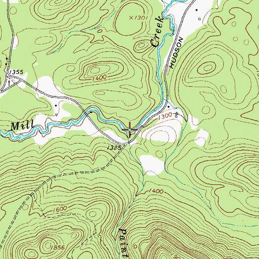 Topographic Map of Paintbed Brook, NY