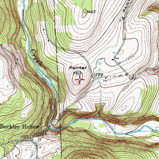Topographic Map of Painter Hill, NY