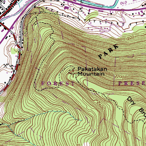 Topographic Map of Pakatakan Mountain, NY