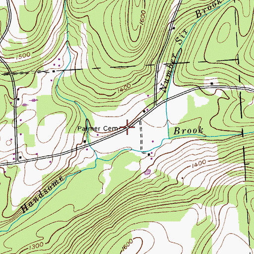 Topographic Map of Palmer Cemetery, NY