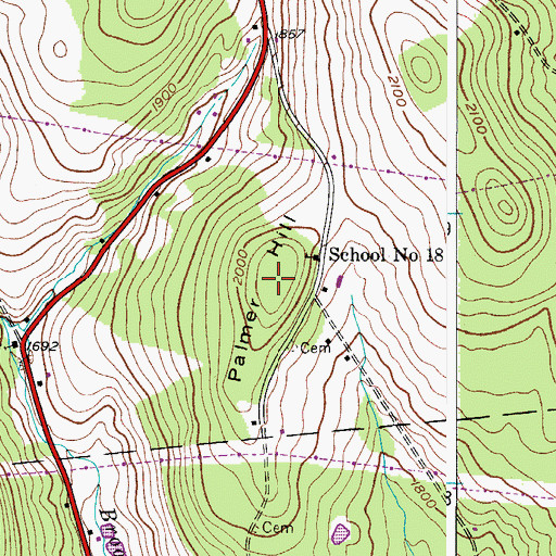 Topographic Map of Palmer Hill, NY