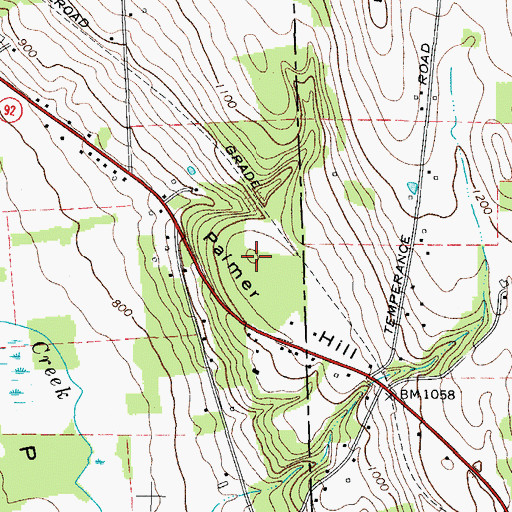 Topographic Map of Palmer Hill, NY