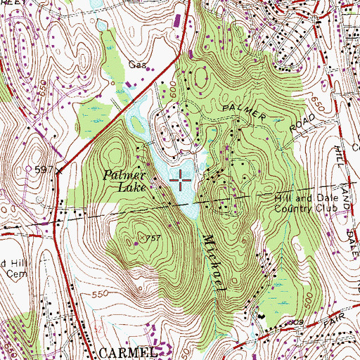 Topographic Map of Palmer Lake, NY