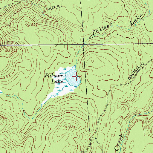 Topographic Map of Palmer Lake, NY