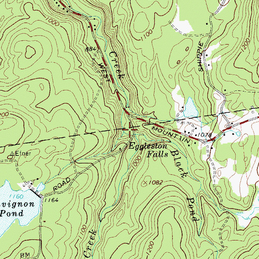 Topographic Map of Palmer Lake Creek, NY
