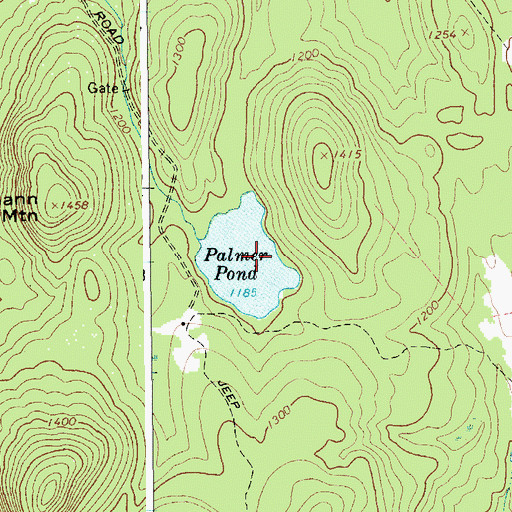 Topographic Map of Palmer Pond, NY