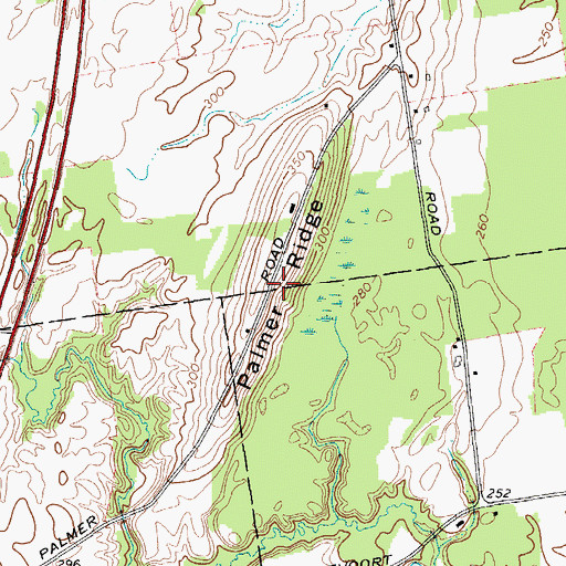 Topographic Map of Palmer Ridge, NY