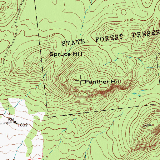 Topographic Map of Panther Hill, NY