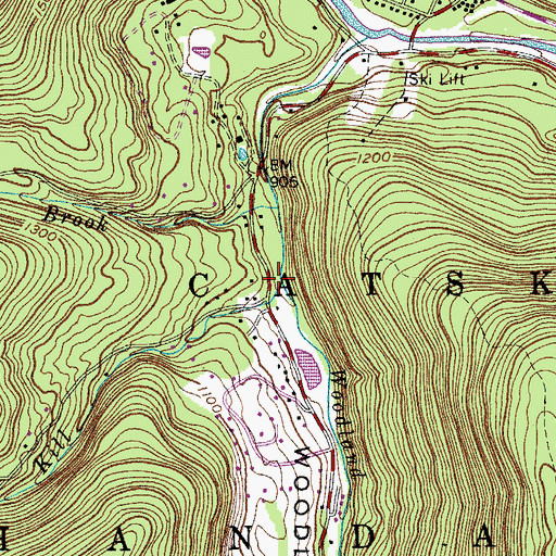 Topographic Map of Panther Kill, NY
