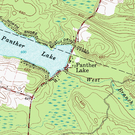 Topographic Map of Panther Lake, NY