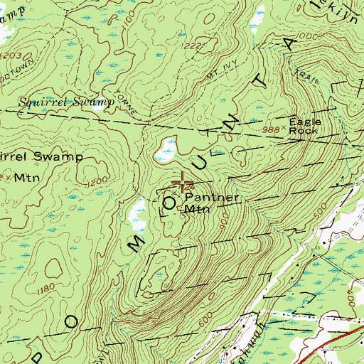 Topographic Map of Panther Mountain, NY