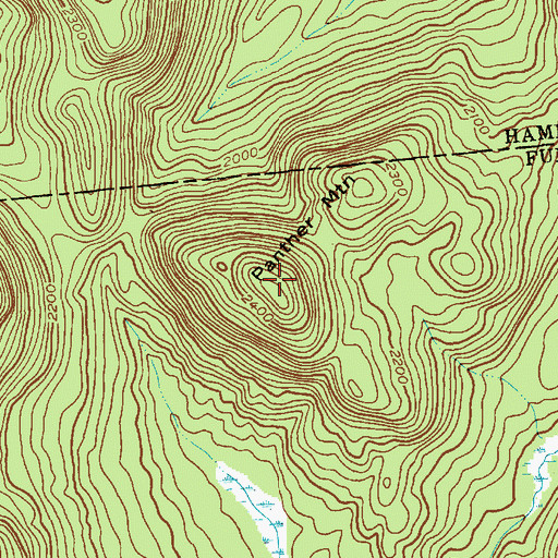 Topographic Map of Panther Mountain, NY
