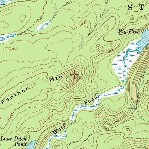 Topographic Map of Panther Mountain, NY