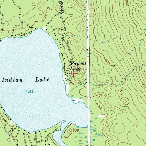 Topographic Map of Papoose Lake, NY