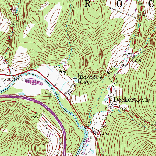 Topographic Map of Paradise Lake, NY