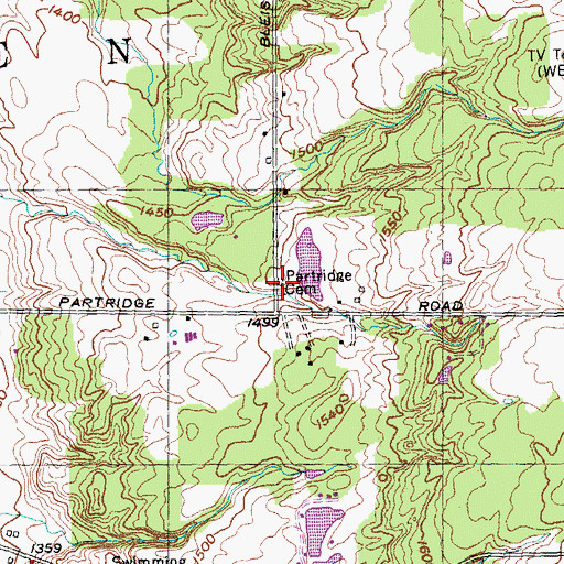 Topographic Map of Partridge Cemetery, NY