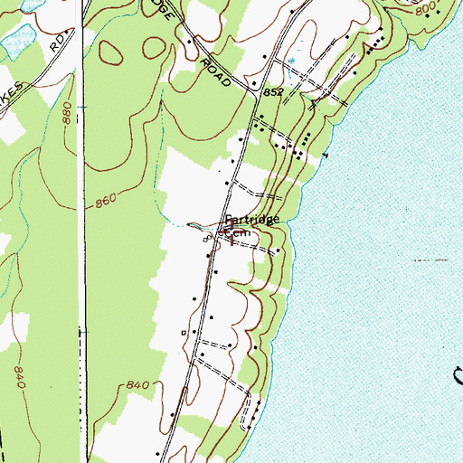 Topographic Map of Partridge Cemetery, NY