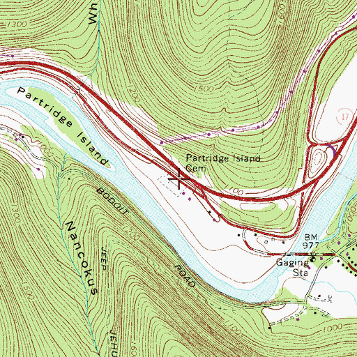 Topographic Map of Partridge Island Cemetery, NY