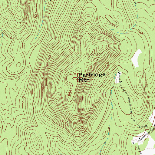 Topographic Map of Partridge Mountain, NY