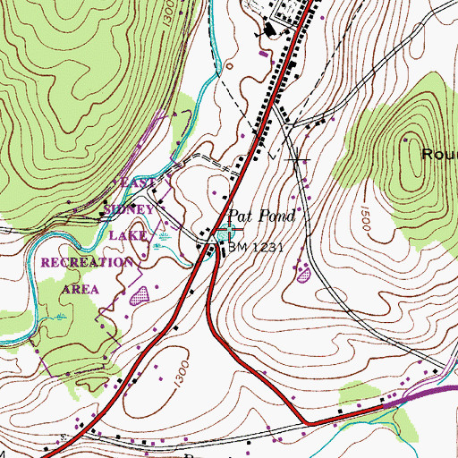 Topographic Map of Pat Pond, NY