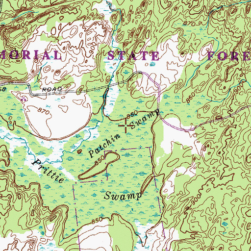 Topographic Map of Patchin Swamp, NY