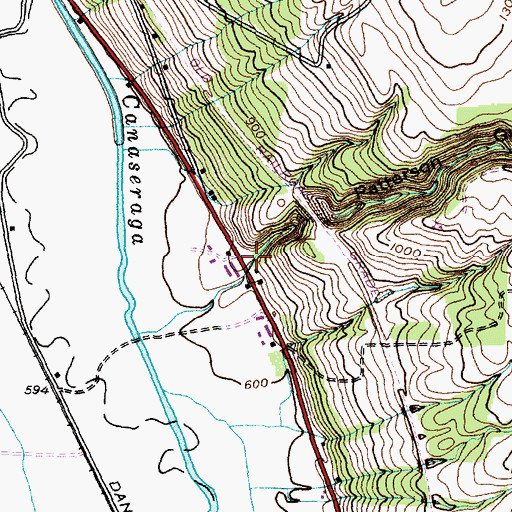 Topographic Map of Patterson Gully, NY