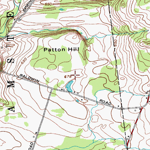 Topographic Map of Patton Hill, NY