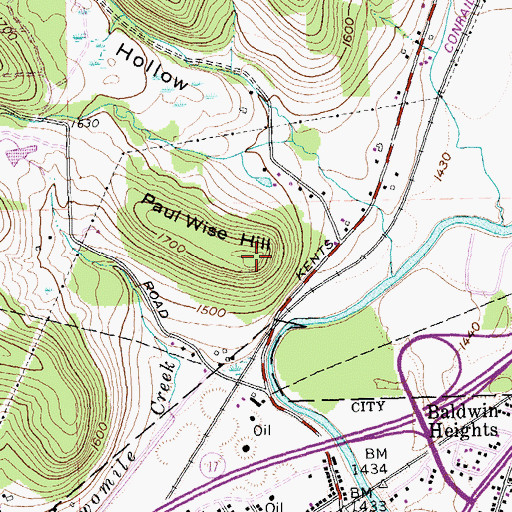 Topographic Map of Paul Wise Hill, NY