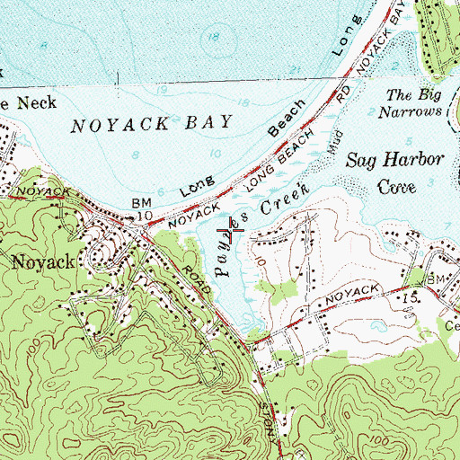 Topographic Map of Paynes Creek, NY
