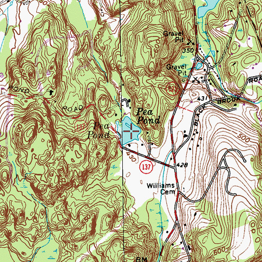Topographic Map of Pea Pond, NY