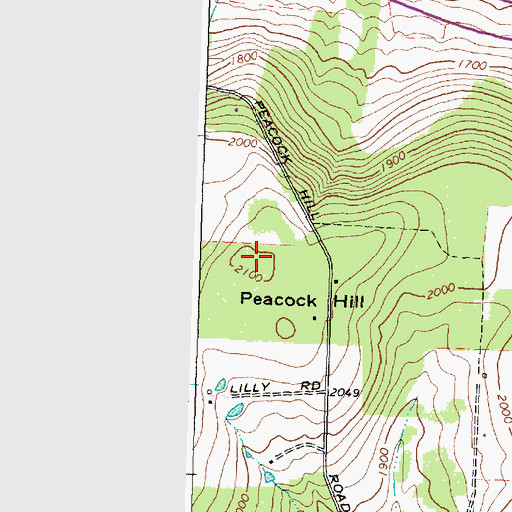 Topographic Map of Peacock Hill, NY