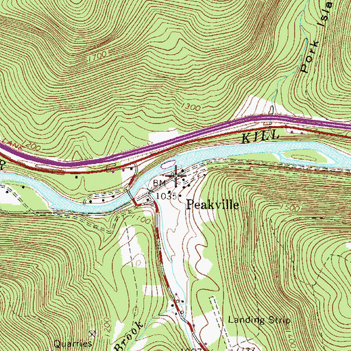 Topographic Map of Peakville, NY