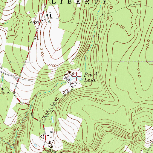 Topographic Map of Pearl Lake, NY