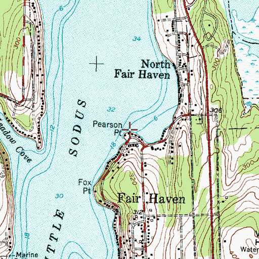 Topographic Map of Pearson Point, NY