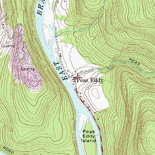 Topographic Map of Peas Eddy, NY