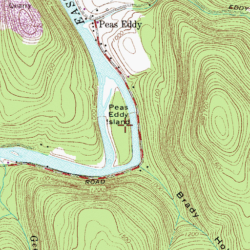 Topographic Map of Peas Eddy Island, NY