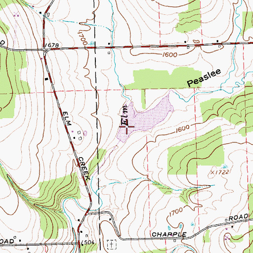 Topographic Map of Peaslee Hollow, NY