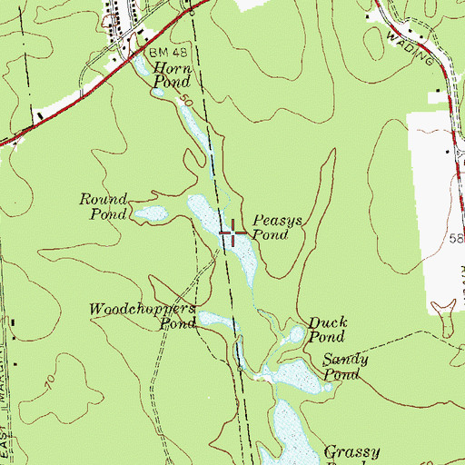 Topographic Map of Peasys Pond, NY