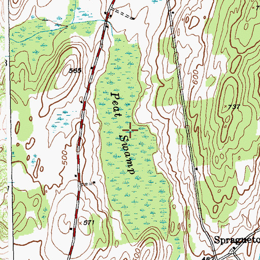 Topographic Map of Peat Swamp, NY