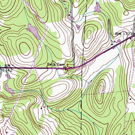 Topographic Map of Peck Cemetery, NY