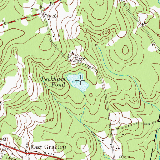 Topographic Map of Peckham Pond, NY