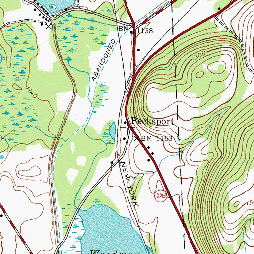 Topographic Map of Pecksport, NY