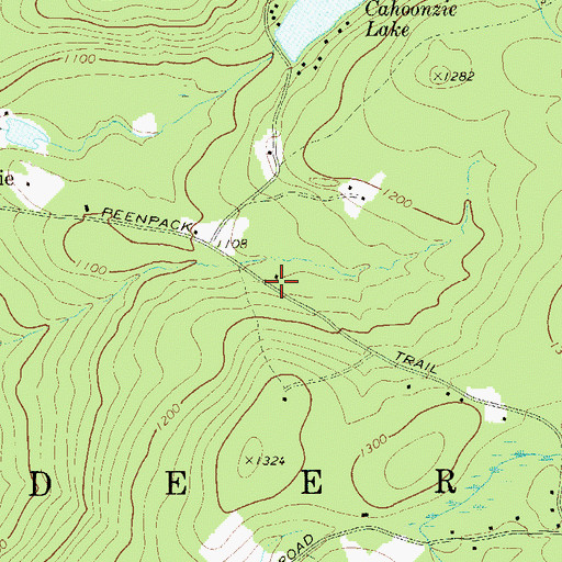 Topographic Map of Peenpack Trail, NY