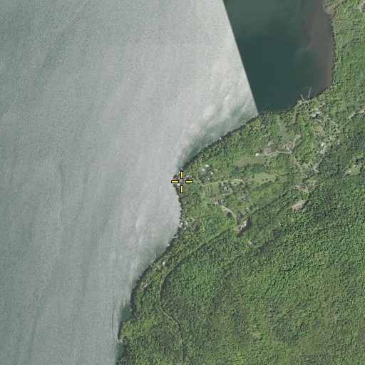 Aerial/Satellite Image of Peggs Point, NY